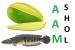 Aam Shol